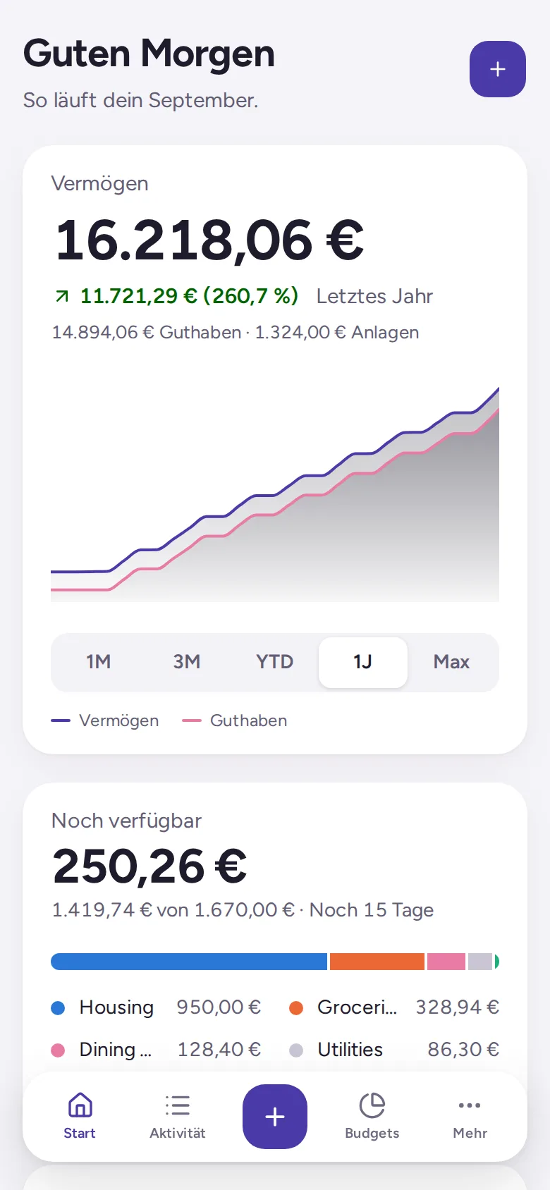 Der Startbildschirm von Consistent: das Vermögen mit einem Diagramm des letzten Jahres und was diesen Monat noch verfügbar ist.
