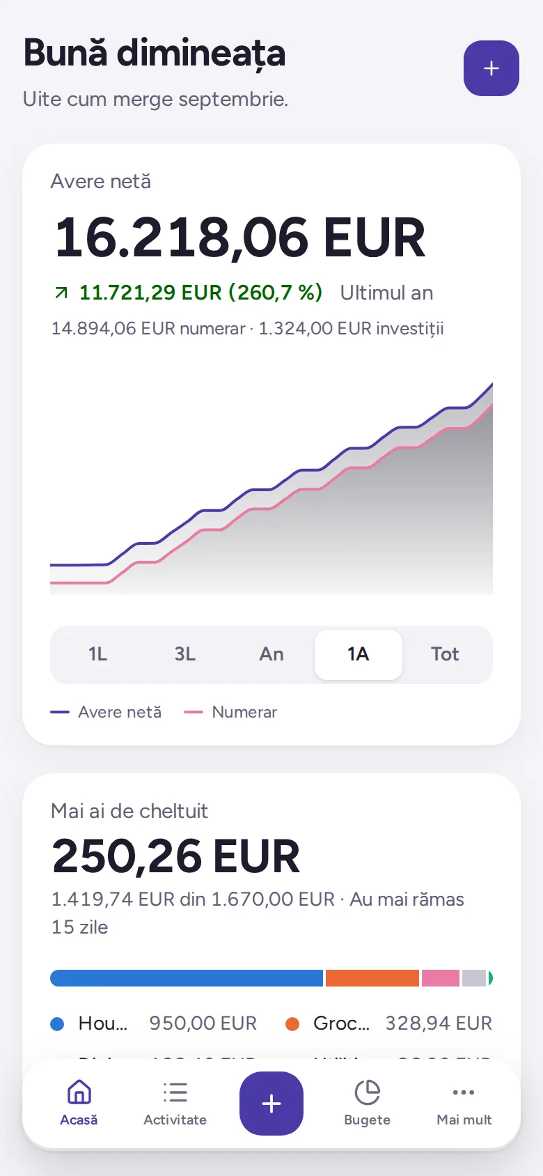 Ecranul principal Consistent: averea netă cu graficul ultimului an și cât mai ai de cheltuit luna aceasta.